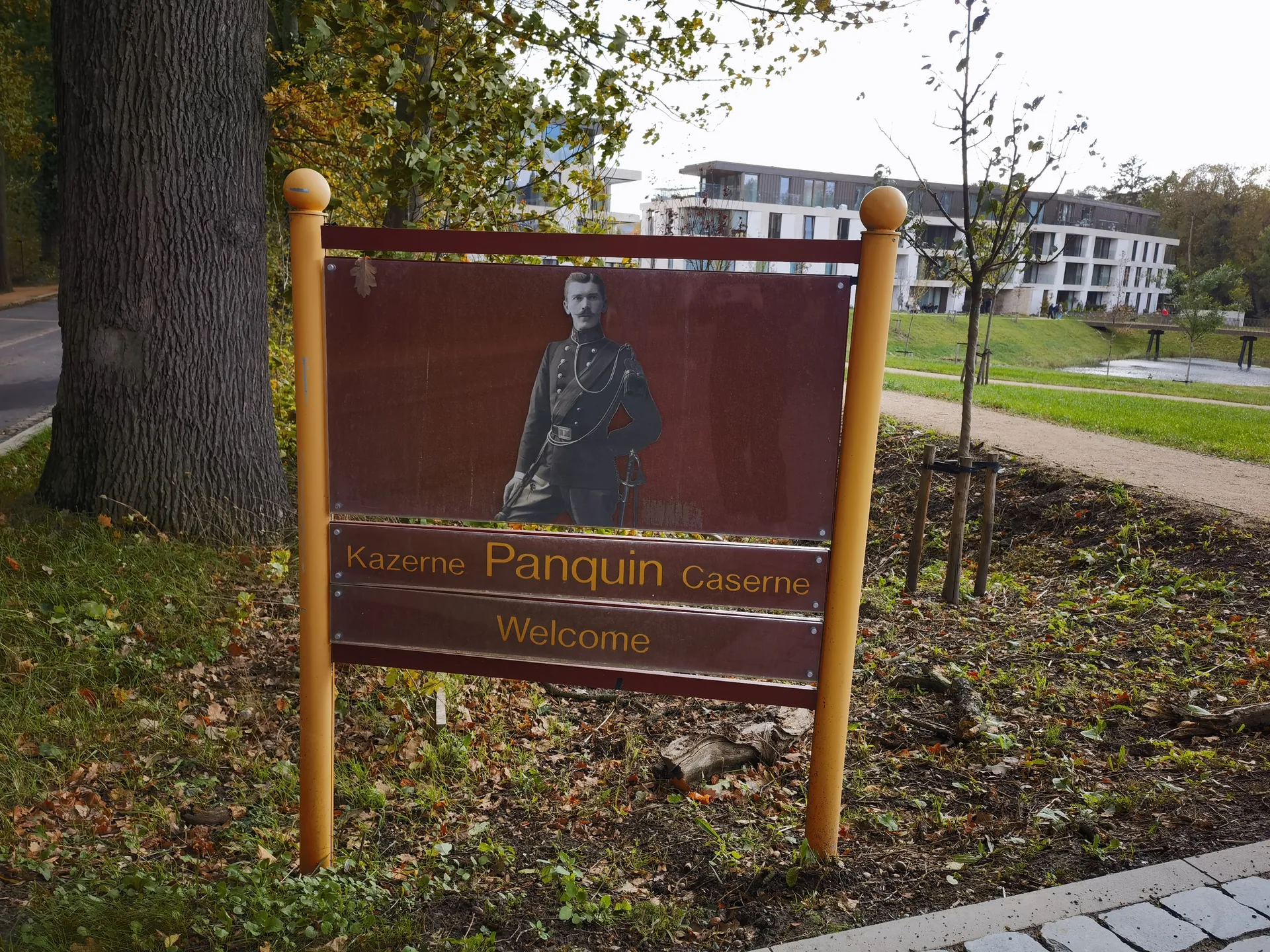 树旁写着 Panquin 和 Welcome 的欢迎牌
